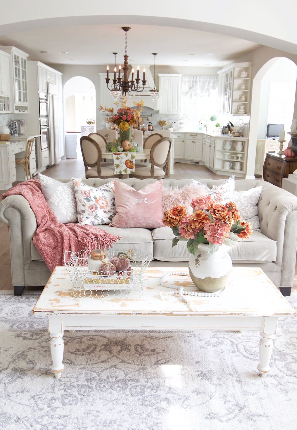 21 French Country Throw Pillows