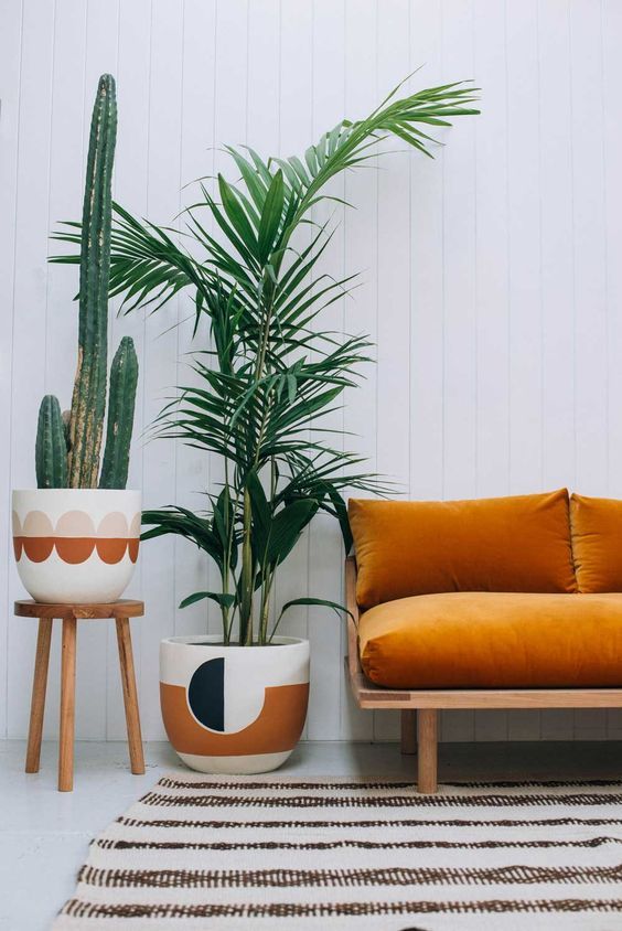 Indoor palm next to orange sofa