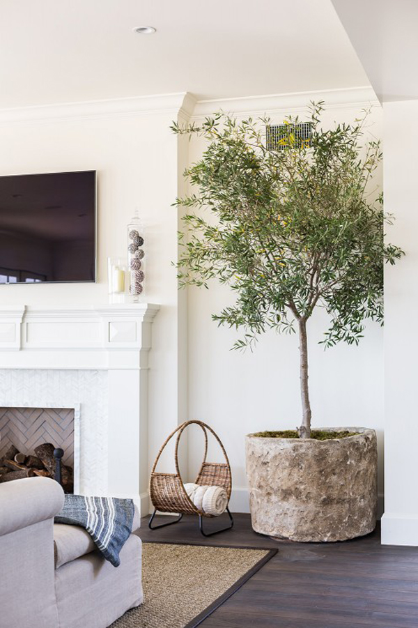 Interior Tree Near Fireplace 