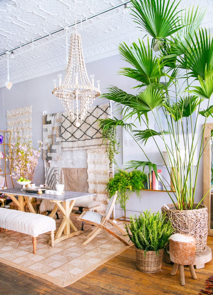 Large palm tree inside bohemian dining room