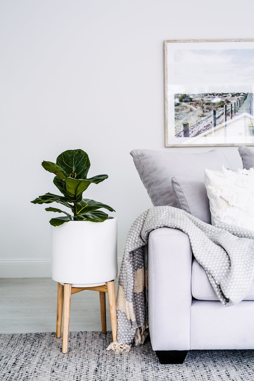 Living room with grey sofa white potted plant