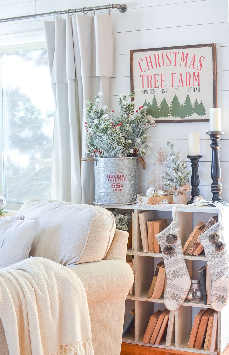 Silver Bucket of Evergreens via sarahjoyblog