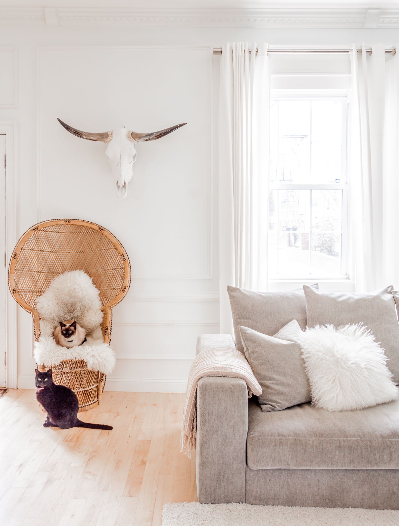 Peacock Chair in Living Room via Melissa Miranda