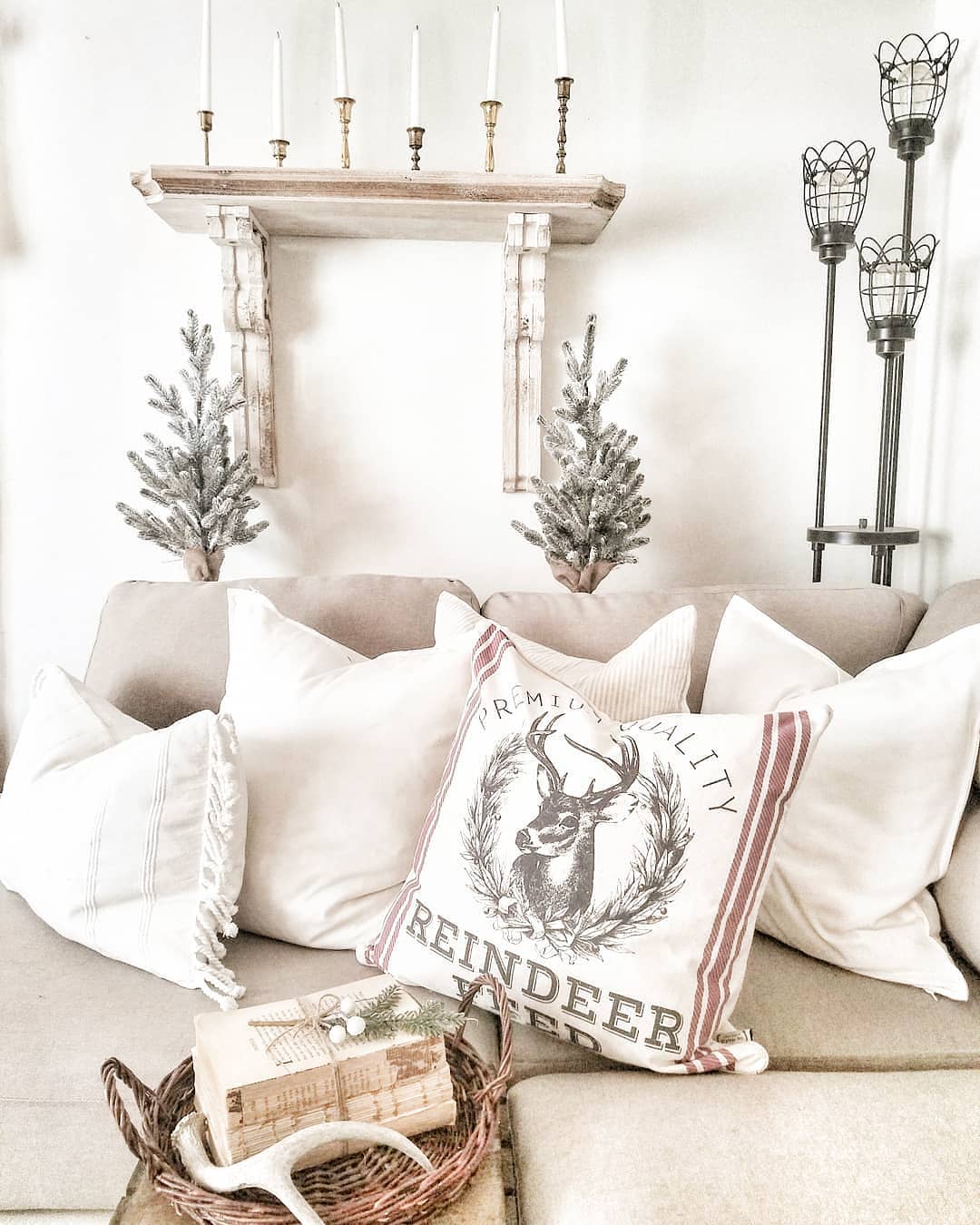 Winter throw pillows via @birchandcotton