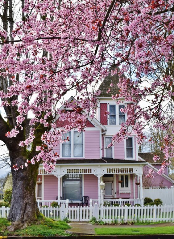 Pink Victorian House with Cherry Blossoms