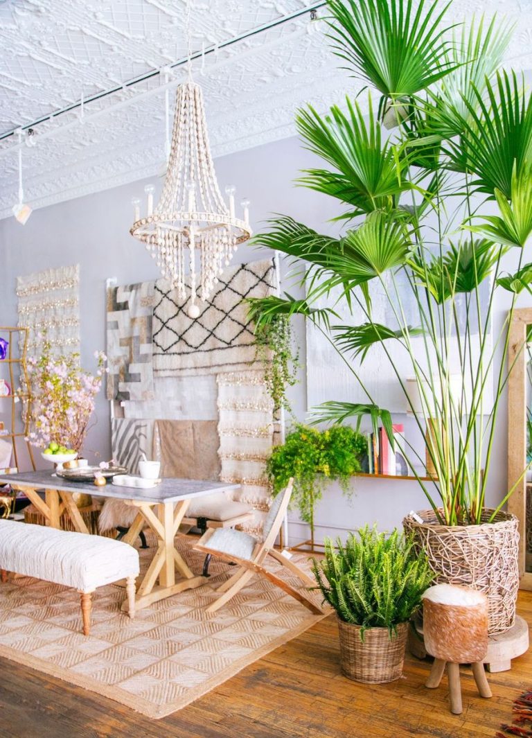 10 Best Tropical Dining Room Decor Ideas