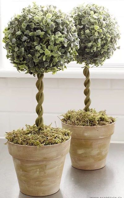 DIY Topiary Trees via homemadelovely