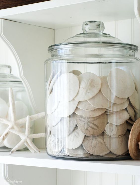 Coastal Vignette with Sand Dollars in Glass Jar via Ella Claire