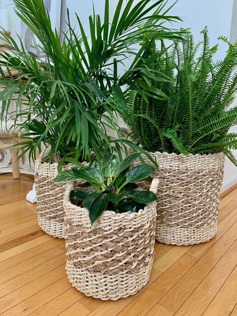 Small Planters for Indoor House Plants