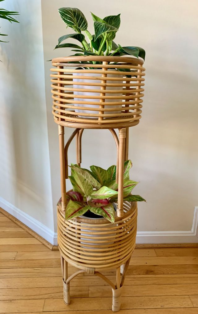 12 Best Small Planters for Indoor House Plants