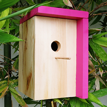 DIY Birdhouse