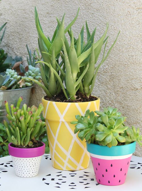 DIY Summer Painted Planters House Plants Craft