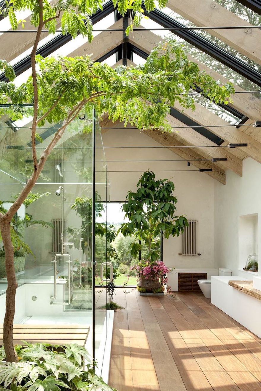 Tropical Bathroom Outdoor Indoor Plants