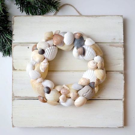 DIY Coastal Shell Wall Decoration