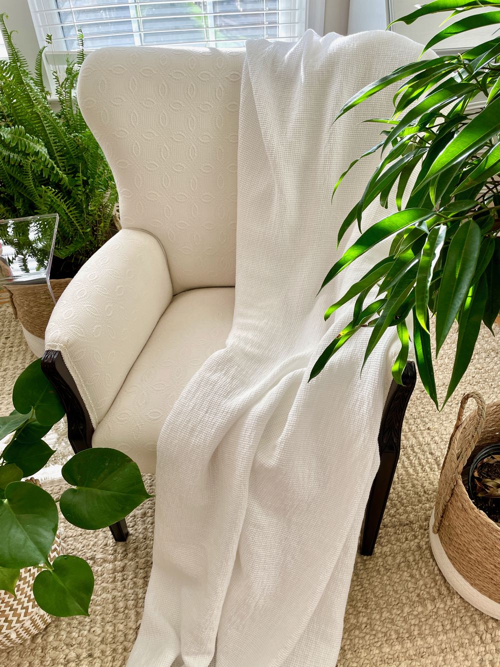 White blanket and Indoor Plants and Tropical Oasis at Home_IMG_0359