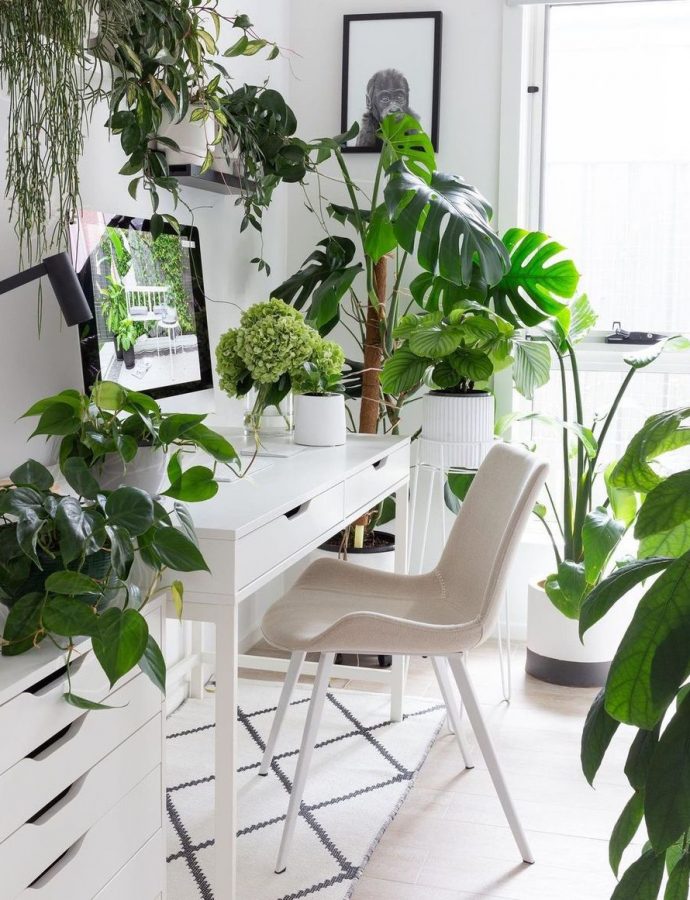 10 Tropical Home Office Decor Ideas