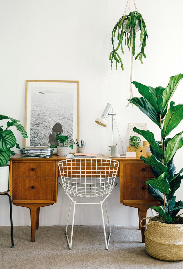 Tropical home office with ocean wall art via HouseofPlants