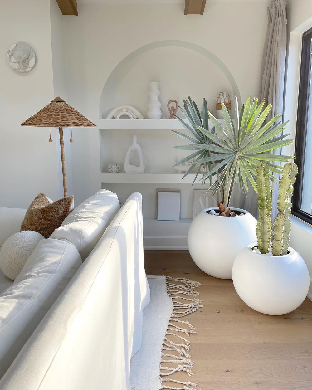 Modern Coastal Decor Indoor House Plants Audreylarter 