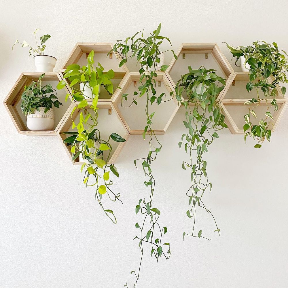 Honeycomb Shelves minimalistcali