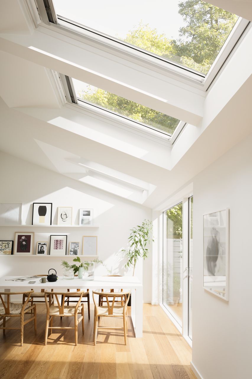 Skylight Windows Roof hegemorris