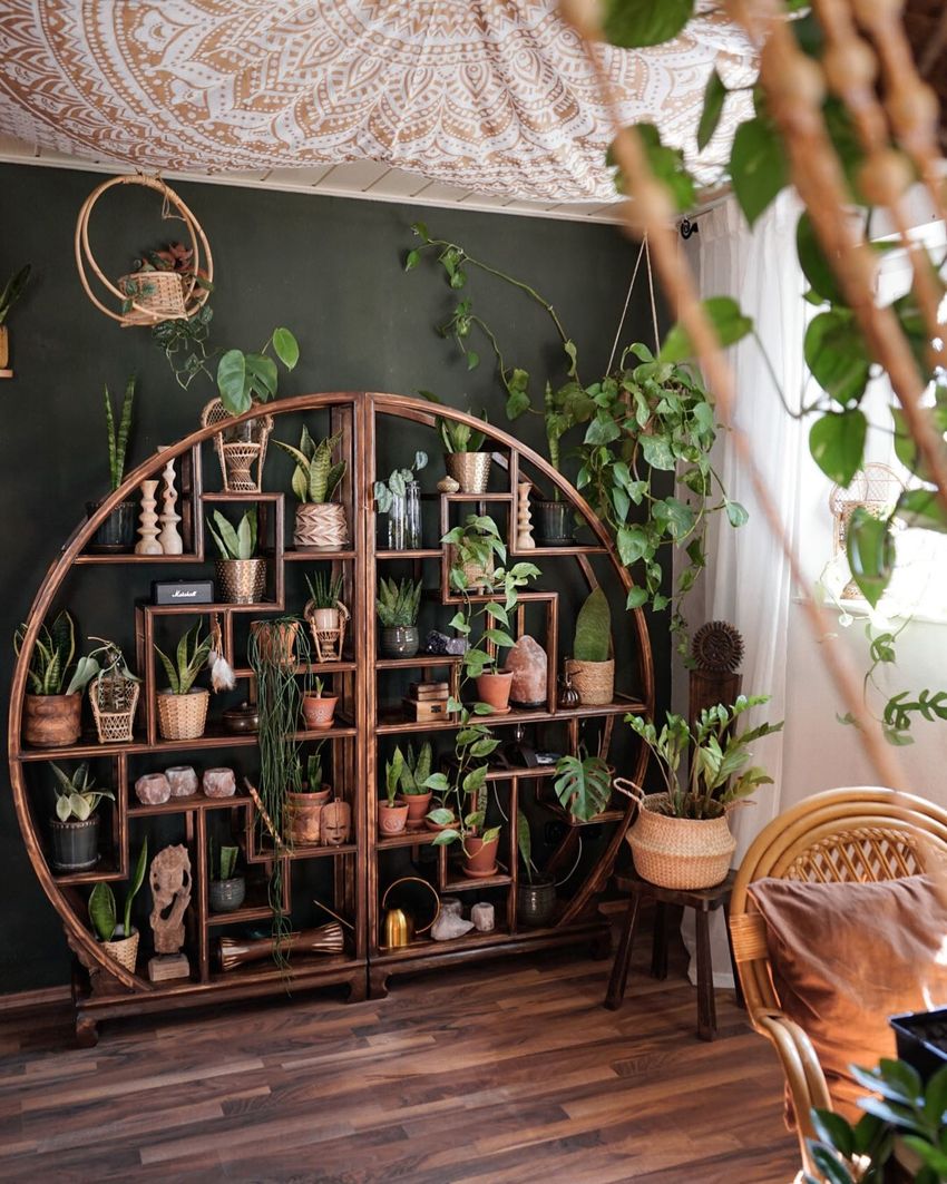 Indoor plant decor ideas palim_tintin