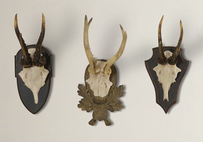 Antler Trophy Wall decor set