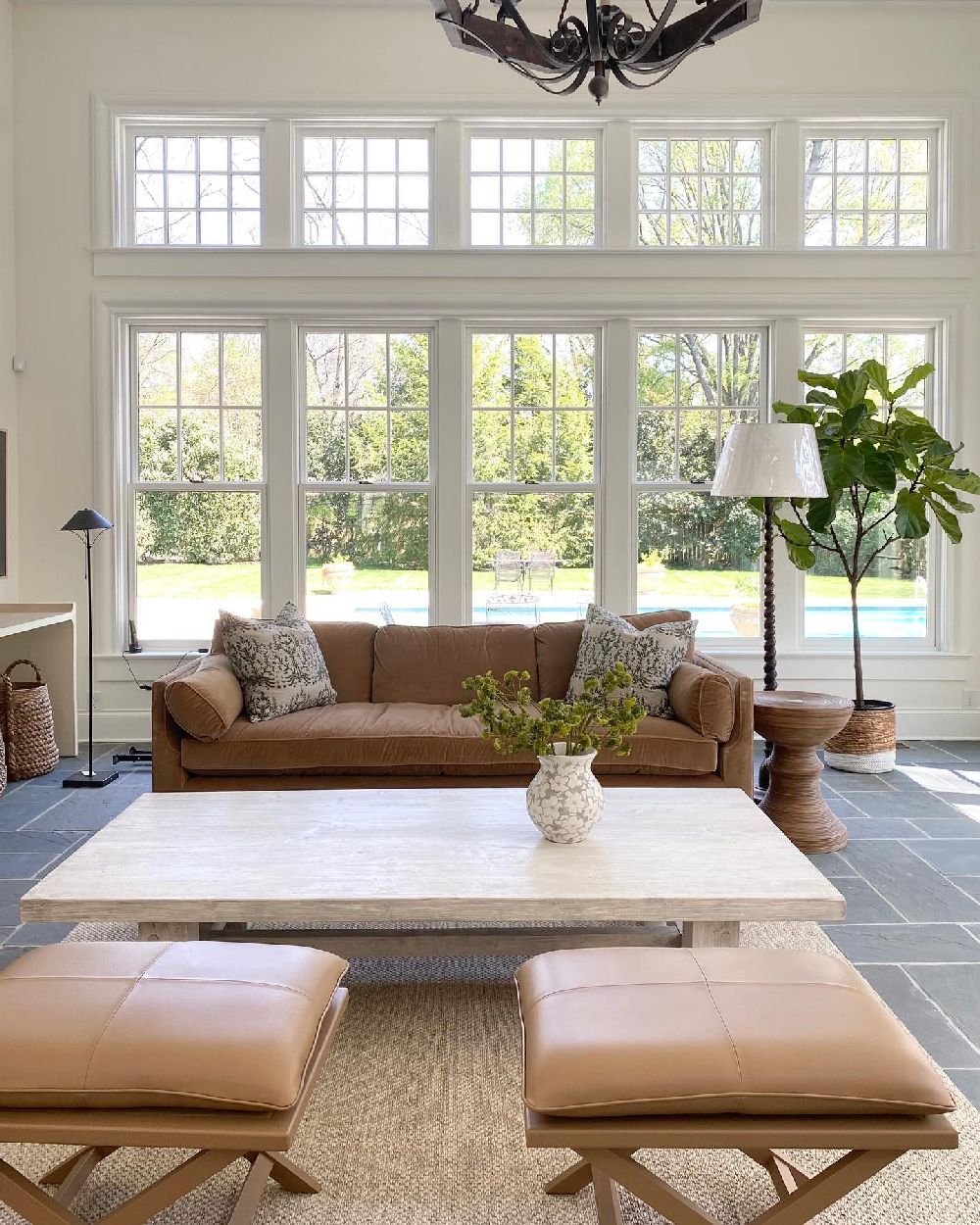 Fiddle leaf fig trees samanthasteininteriors