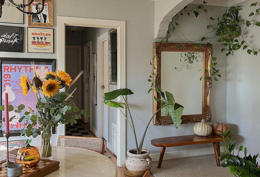 House plants decor highboyla
