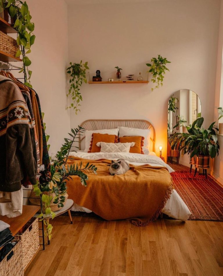 12 Best House Plants for Residential Homes