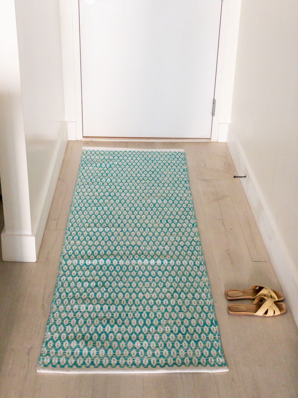 Wayfair Memorial Day Clearance Entryway Rug Aqua APC_0173