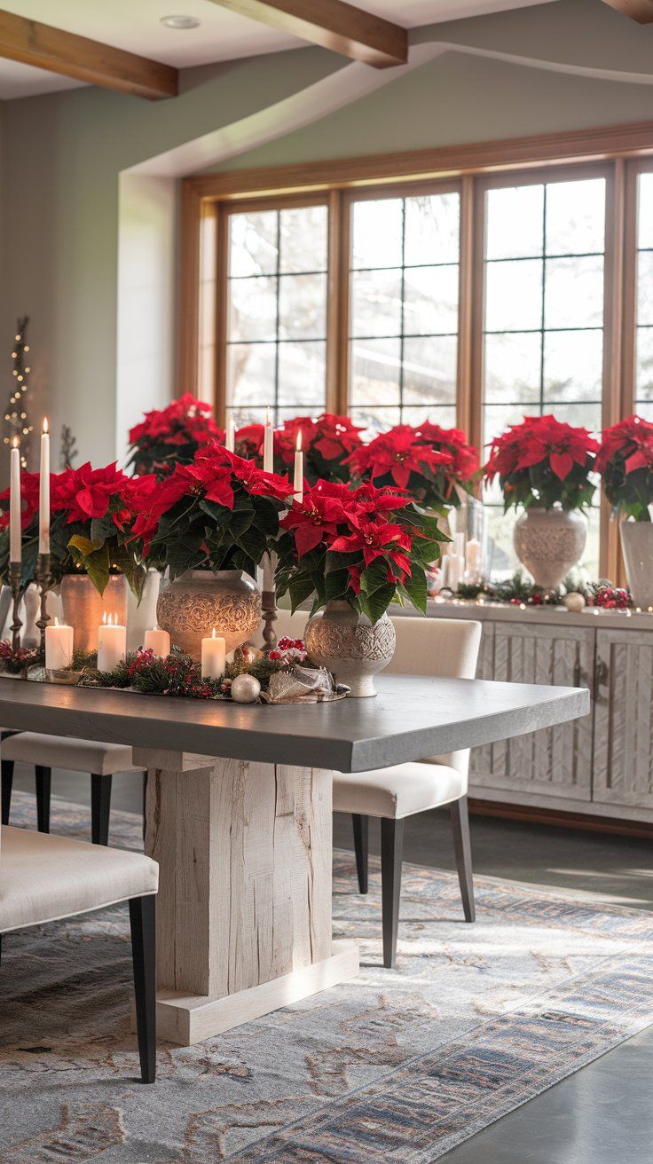 red poinsettias in Christmas pots placed on a dining table and buffet