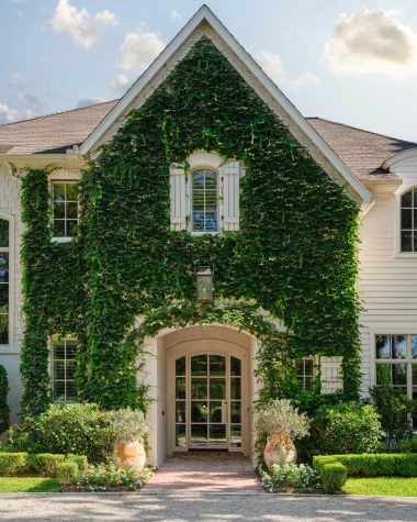 Ivy covered house katiedavisdesign